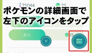 ポケモンを調べてもらう