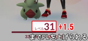 ポケモンレベル上限