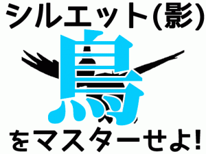 ひこうタイプのシルエット-アイキャッチ