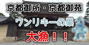 京都御所ワンリキーの巣